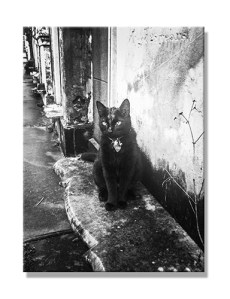 Sasha Cemetery Marauder ©RaquelMarie